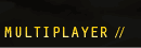 MULTIPLAYER